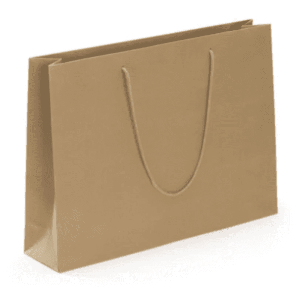 Luxury Paper Gift Bags with Handle